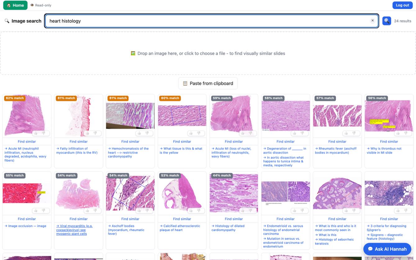 Image search results for 'heart histology' as a scored grid of slides
