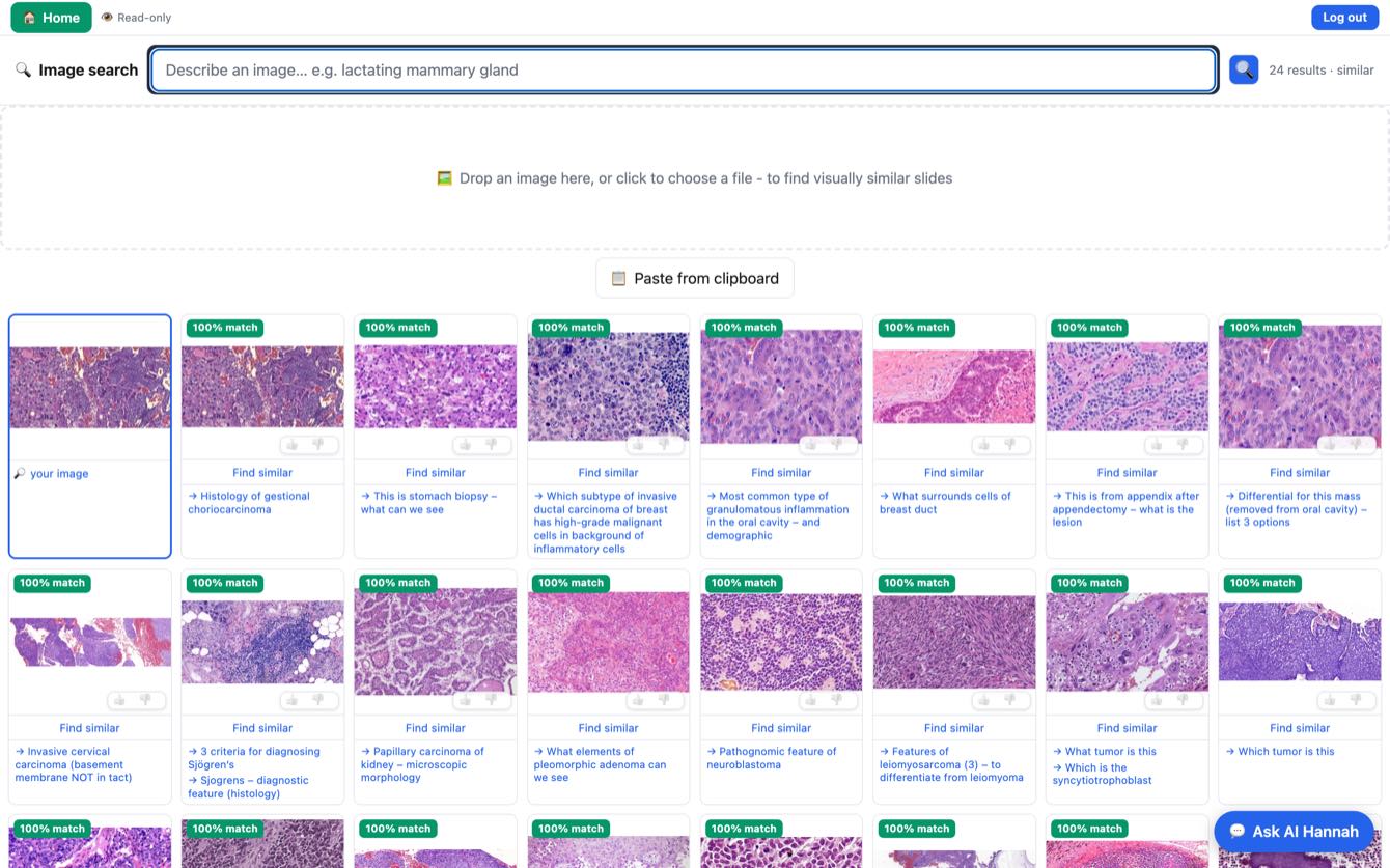 Visual similarity results, with the query image first and its closest matches following
